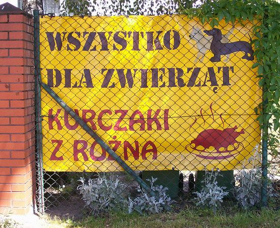 Mur w poprzek chodnika - śmieszne zdjęcia Internautów