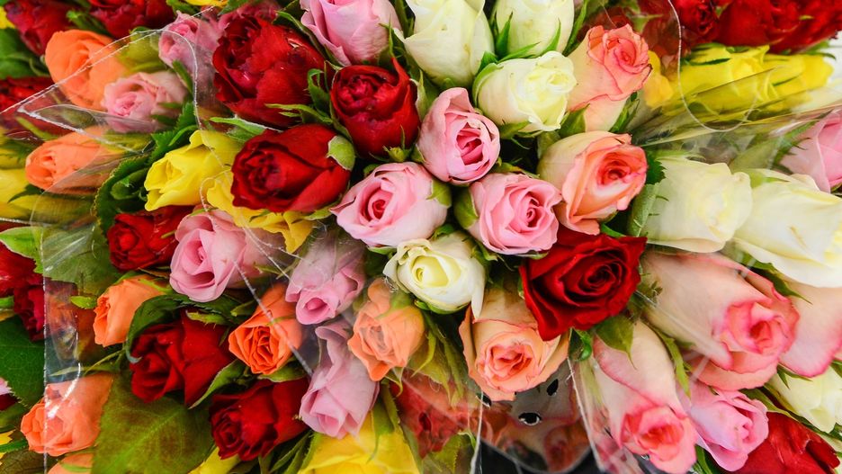 Życzenia na Dzień Kobiet 2019. Najpiękniejsze życzenia i wierszyki na 8 marca