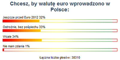 Internauci podzieleni ws. wprowadzania euro w Polsce