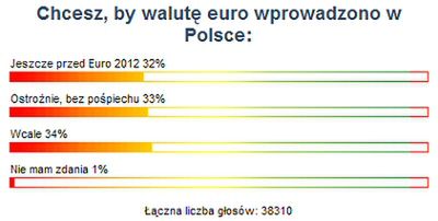 Internauci podzieleni ws. wprowadzania euro w Polsce