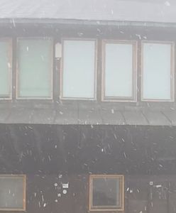 Zaczęło się lato. A na Śnieżce spadł śnieg