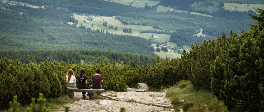 Ile jest parków narodowych w Polsce? Co musisz wiedzieć