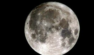 Superksiężyc na polskim niebie. Zobaczcie zdjęcia z Pełni Bobra