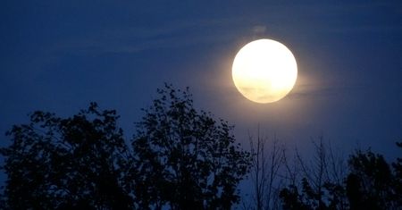 Pełnia Księżyca w sierpniu już jutro. Skąd nazwa Księżyc Zielonej Kukurydzy?