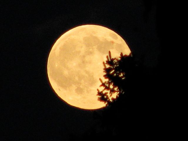 Ambitne plany NASA. Wkrótce ogłosi, jak wrócimy na Księżyc