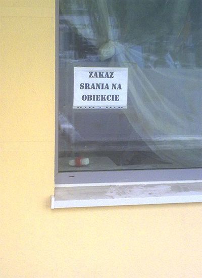 Obraz