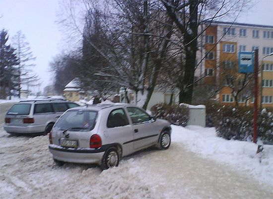 Obraz