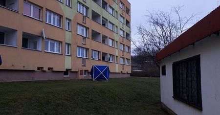 Bolesławiec: dziecko i matka nie żyją. Są zarzuty dla napastnika