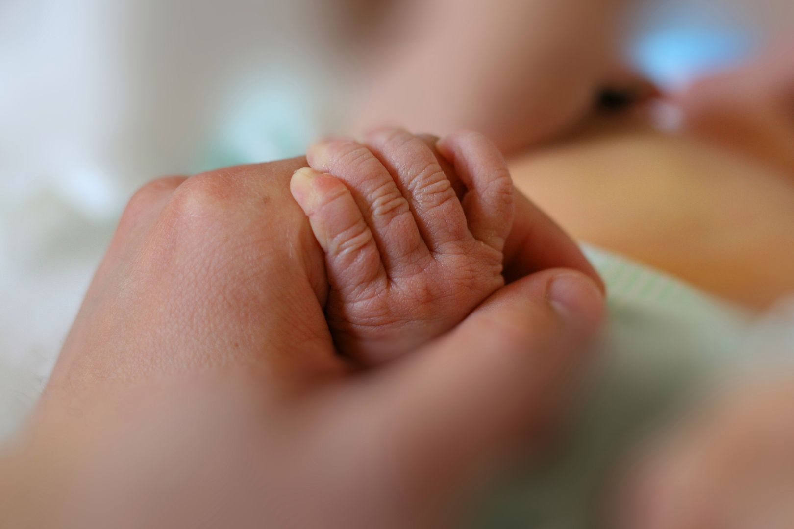 Newborn baby little hand hold by adult man hand of his father