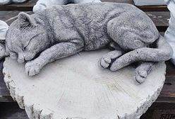 Nowy Dwór Mazowiecki. Kradzież figurki kotka z grobu 8-latka. Rodzina prosi o zwrot