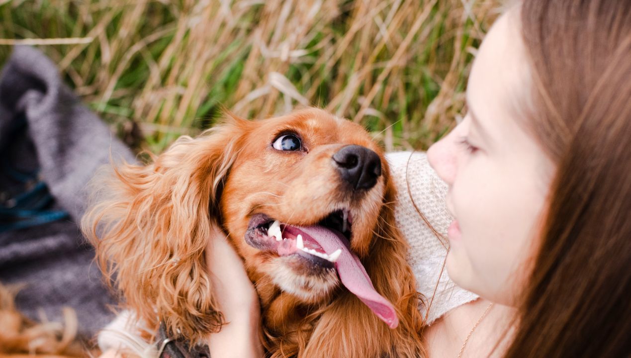 Mówisz do psa jak do dziecka? W ten sposób działa to na jego mózg