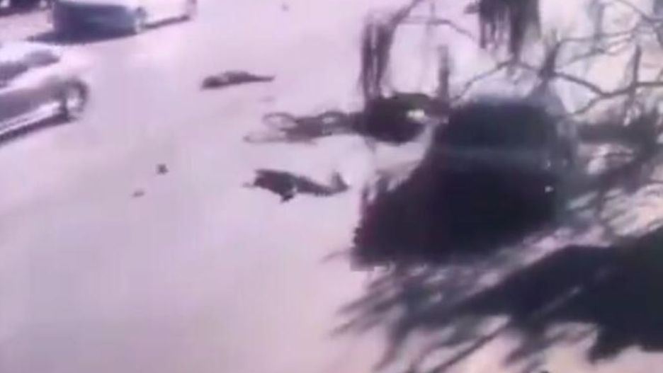 Chiny: Samochód wjechał w dzieci. Kilkoro z nich nie żyje