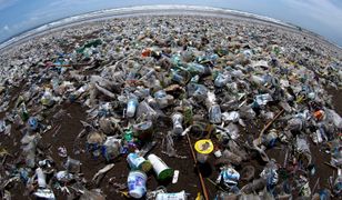 Oceany toną w śmieciach. Grozi nam katastrofa
