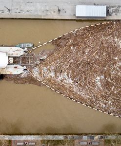 Oto Mr Trash Wheel. Maszyna, która wyławia śmieci z rzek