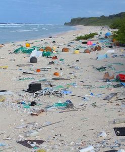 Rajska wyspa tonie w śmieciach
