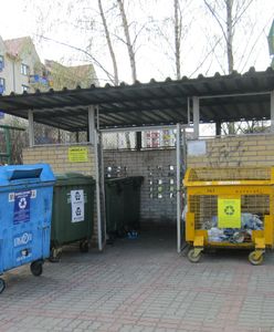 Szczenięta uduszone w reklamówkach na śmietniku. Schronisko chce odnaleźć zwyrodnialca