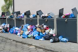 Podwyżki za wywóz śmieci od marca. Radni Warszawy przyjęli poprawione przepisy