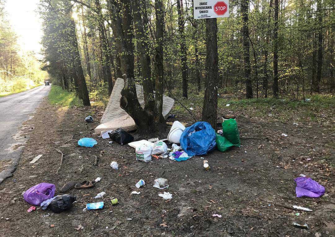 Śmieci w lesie – zdjęcie Małgorzaty Kożuchowskiej