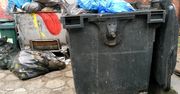 Opłaty za śmieci. Ministerstwo zleca kontrole