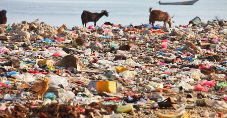 Śmieci w oceanach. Toniemy w plastiku