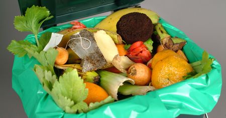 Jabłka za darmo. Dobry przykład z Norwegii. Dzielą się z innymi
