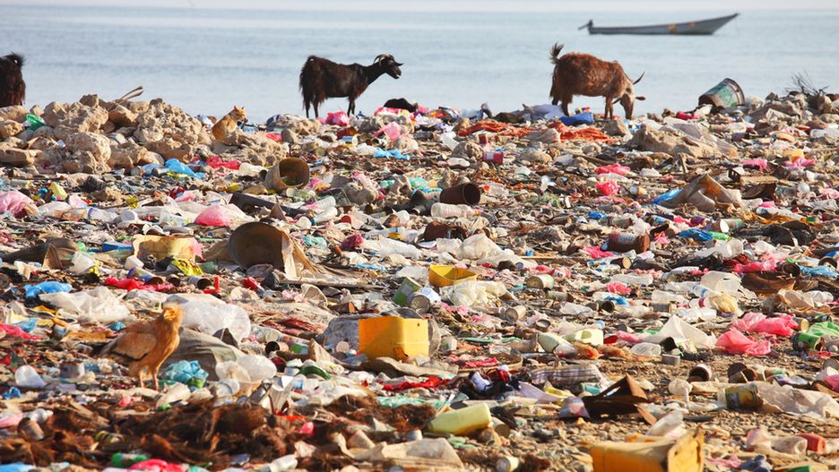 Śmieci stają się plagą mórz i oceanów