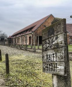 Polska przegrała internetową "bitwę" o obozy zagłady. Miażdżące statystyki