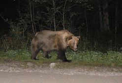 Tatry. "Nigdy jeszcze tak się nie bałam". Dramatyczna relacja turystek