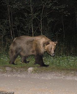 Tatry. "Nigdy jeszcze tak się nie bałam". Dramatyczna relacja turystek