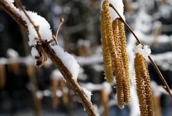 Nareszcie będzie cieplej. Pogoda na trzy dni