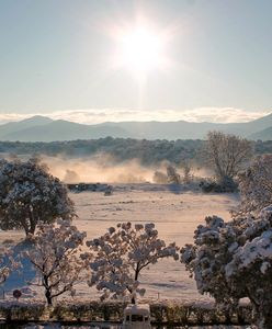 Mróz powoli odpuszcza, pod koniec weekendu może być na plusie. Prognoza pogody na 2, 3 i 4 marca