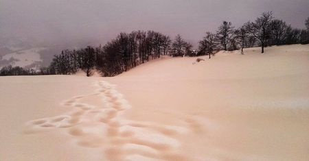 We Włoszech spadł różowy śnieg. "Dobrze, że nie żółty!"