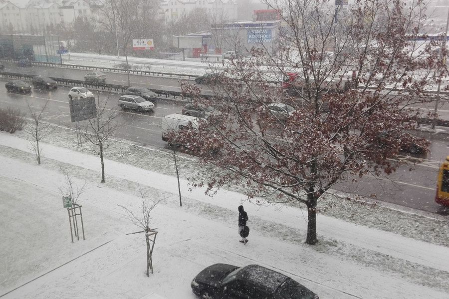 Zamiecie śnieżne i silny wiatr. Ostrzeżenia dla 4 województw