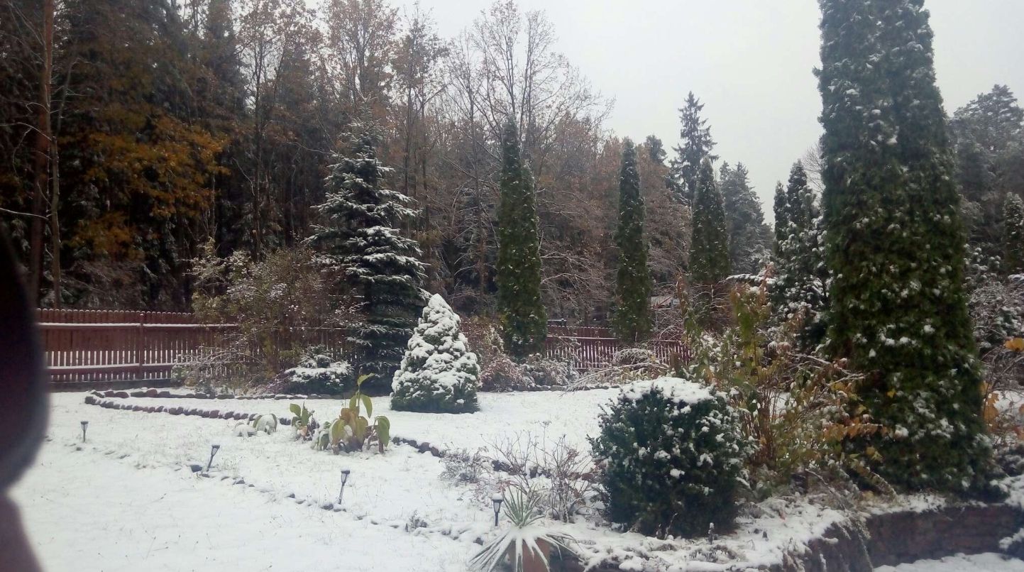 Spadł śnieg na północy Polski