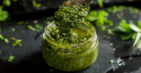 Pesto z tej rośliny to skarbnica witamin. Ci, co ją znają, wyruszyli do lasów na zbiory, bo trwa sezon