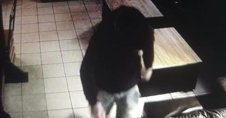 Szczecin. Restauracja pokazała zdjęcia sprawcy wielkiego skandalu