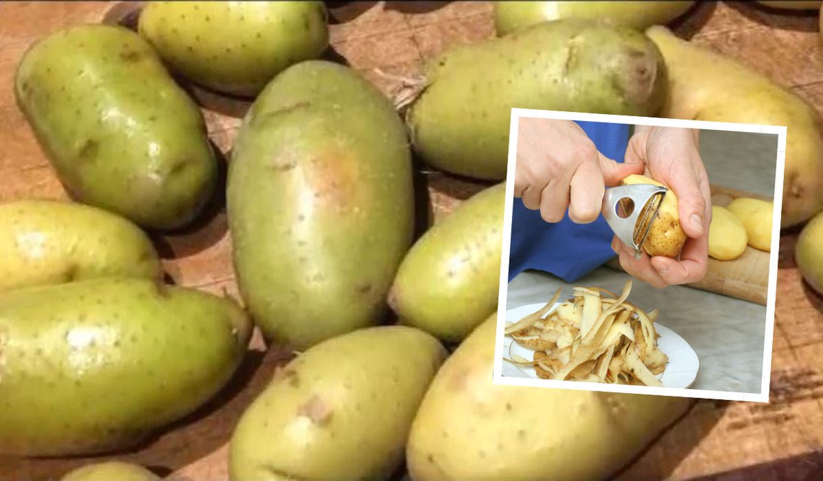 Dlaczego ziemniaki zielenieją? - Pyszności; Foto Canva.com i kadr z materiału na kanale YouTube FOOD CLINIC