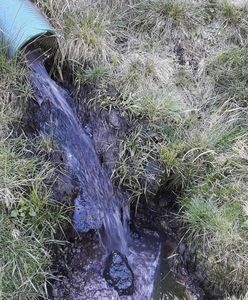 Ścieki w potoku Karkonoskiego Parku Narodowego. Turyści kąpią się i piją z niego wodę