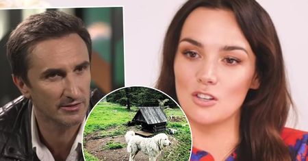 Sebastian Karpiel Bułecka pokazał zdjęcie psa na łańcuchu. Paulina Krupińska wydała oświadczenie i tłumaczy sprawę