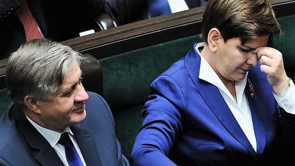 ASF.  Krzysztof Jurgiel chce koordynatora ds. afrykańskiego pomoru świń 