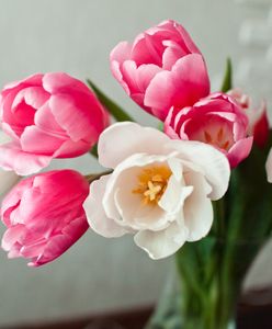 Dzień Nauczyciela 2019. Życzenia i wierszyki dla nauczycieli z okazji ich święta