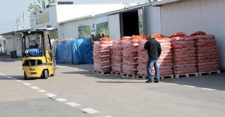 Wrocław. Ciało kobiety na terenie giełdy rolnej