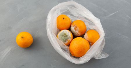 Kiedy kupujesz więcej mandarynek, zrób jedną rzecz, aby nie spleśniały!