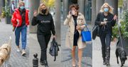 Gwiazdy w „DDTVN”: Agnieszka Woźniak-Starak i Kasia Moś z psami, Martyna Wojciechowska, Justyna Sieńczyłło