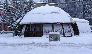 Zielona Góra pod śniegiem