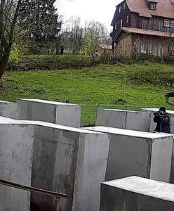 Artyści ukarali skrajnie prawicowego polityka. Miał dość obwiniania Niemców o Holokaust