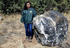USA. Ogromny kamień w tajemniczy sposób znikł z parku. W taki też sposób powrócił na miejsce