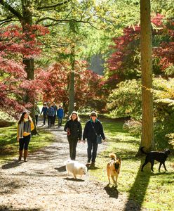 Prognoza pogody na dziś - 12 listopada. Temperatura podzieli Polskę na dwie części