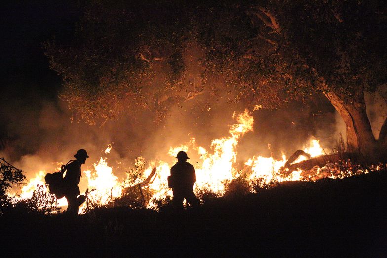 Pożar w Niemczech - płonie 300ha lasów. Ogień dotarł do budynków mieszkalnych.