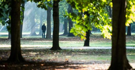 Pogoda na wtorek: słonecznie w centrum, nadal powieje